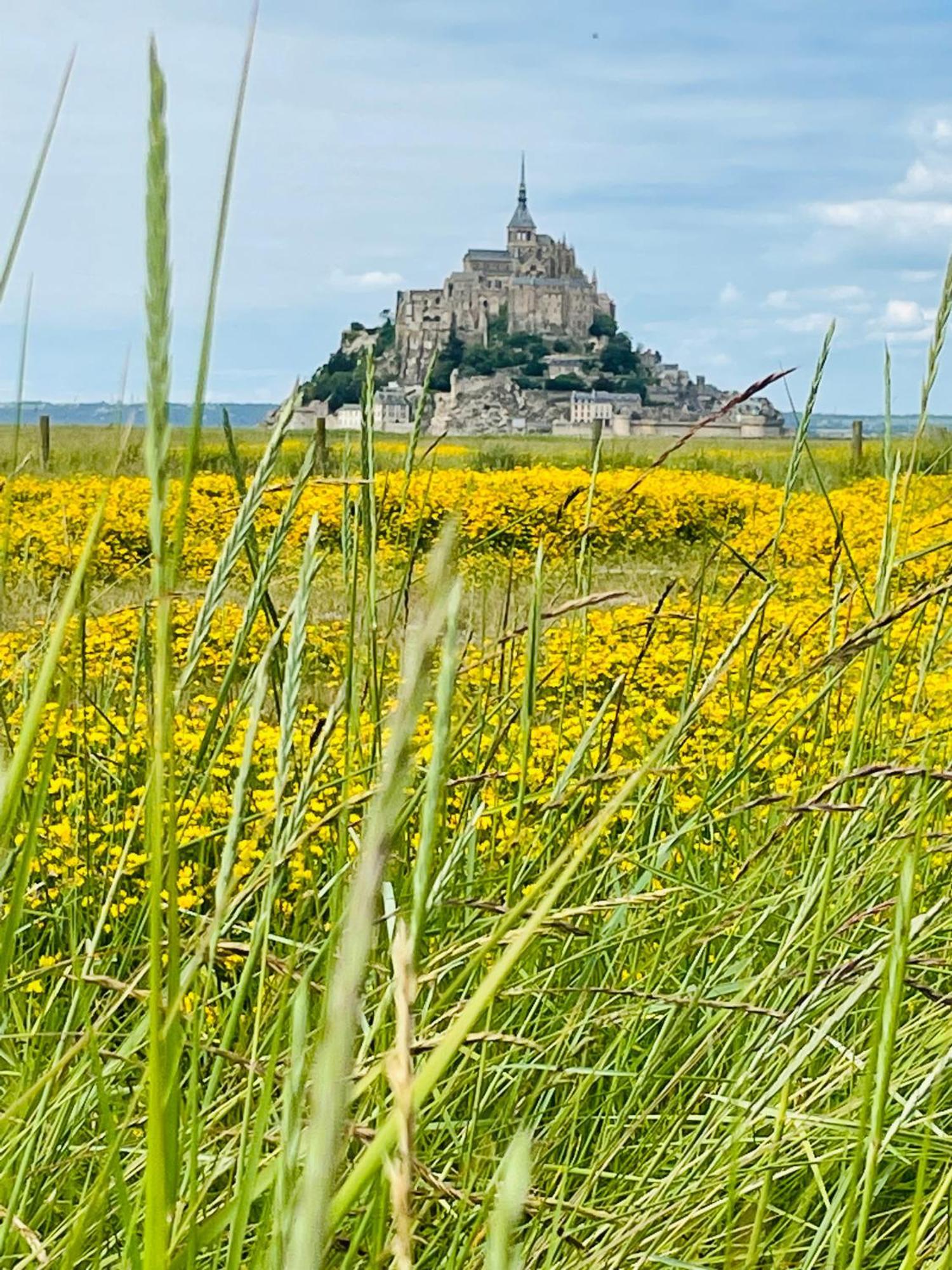 Apartmán Chez Trotro Saint-Pierre-de-Plesguen Exteriér fotografie